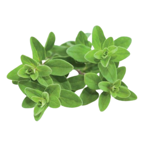 Click and Grow Smart Garden Refill 3-pack - Marjoram