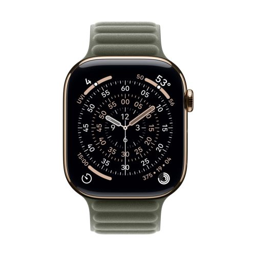 Apple Watch 46mm Sage Gray Magnetic Link - M/L