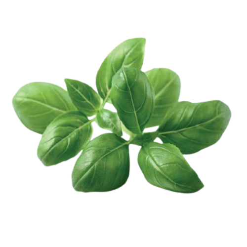 Click and Grow Smart Garden Refill 3-pack - Basil