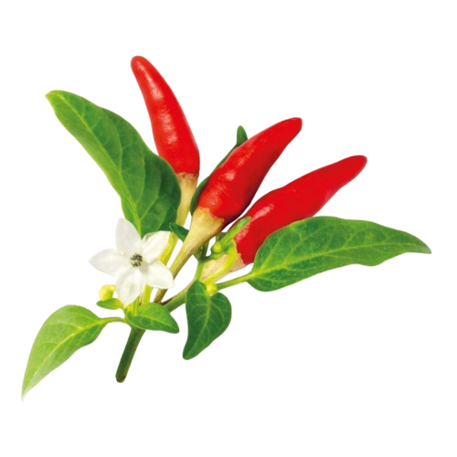 Click and Grow Smart Garden Refill 3-pack - Chili Pepper