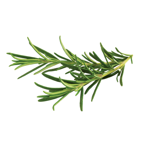 Click and Grow Smart Garden Refill 3-pack - Rosemary